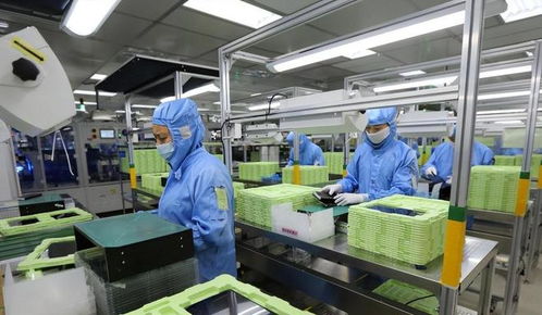 東莞封裝廠斷供，荷蘭急求合作解禁